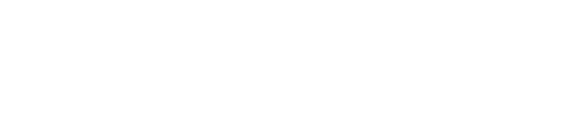 Whitestone® Audio Instruments Logo White